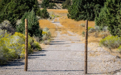 Pourquoi je sabote ce qui pourrait bien se passer